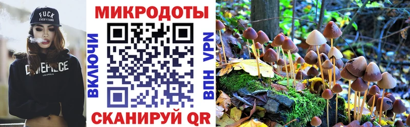 Галлюциногенные грибы Psilocybe  Купить  Саров 